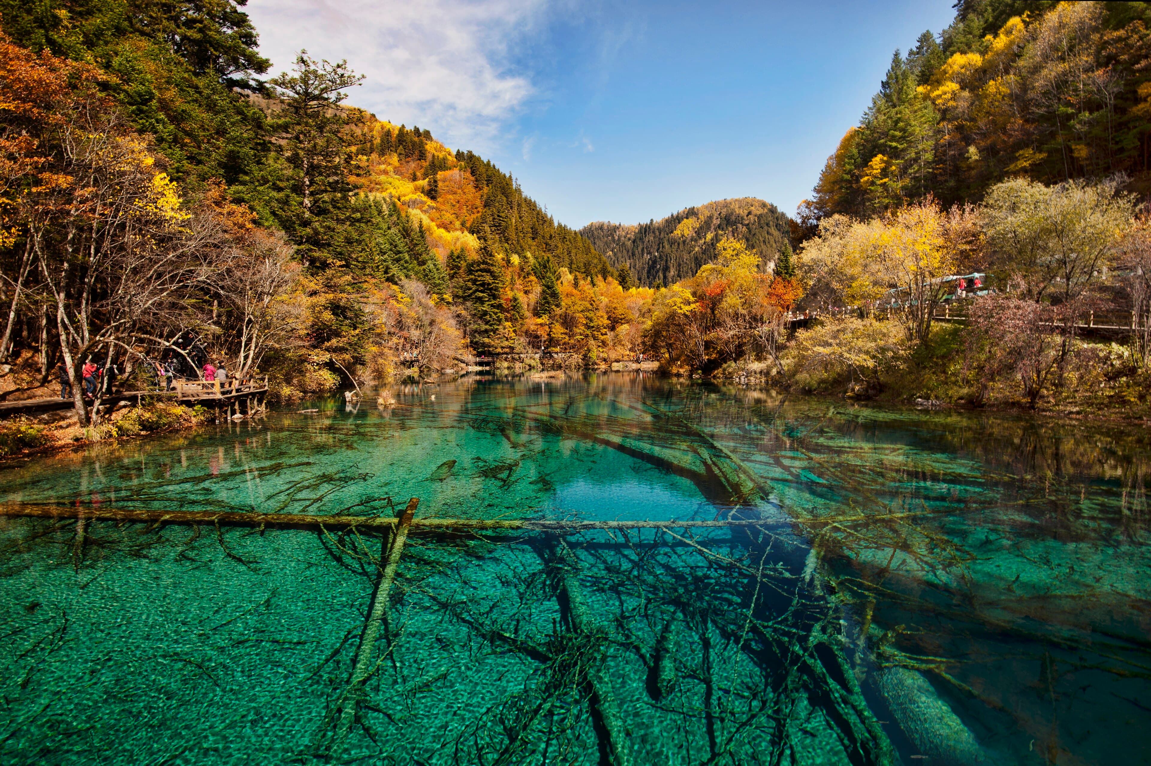 传奇九寨 · 峨眉 / 都江堰 8 天游