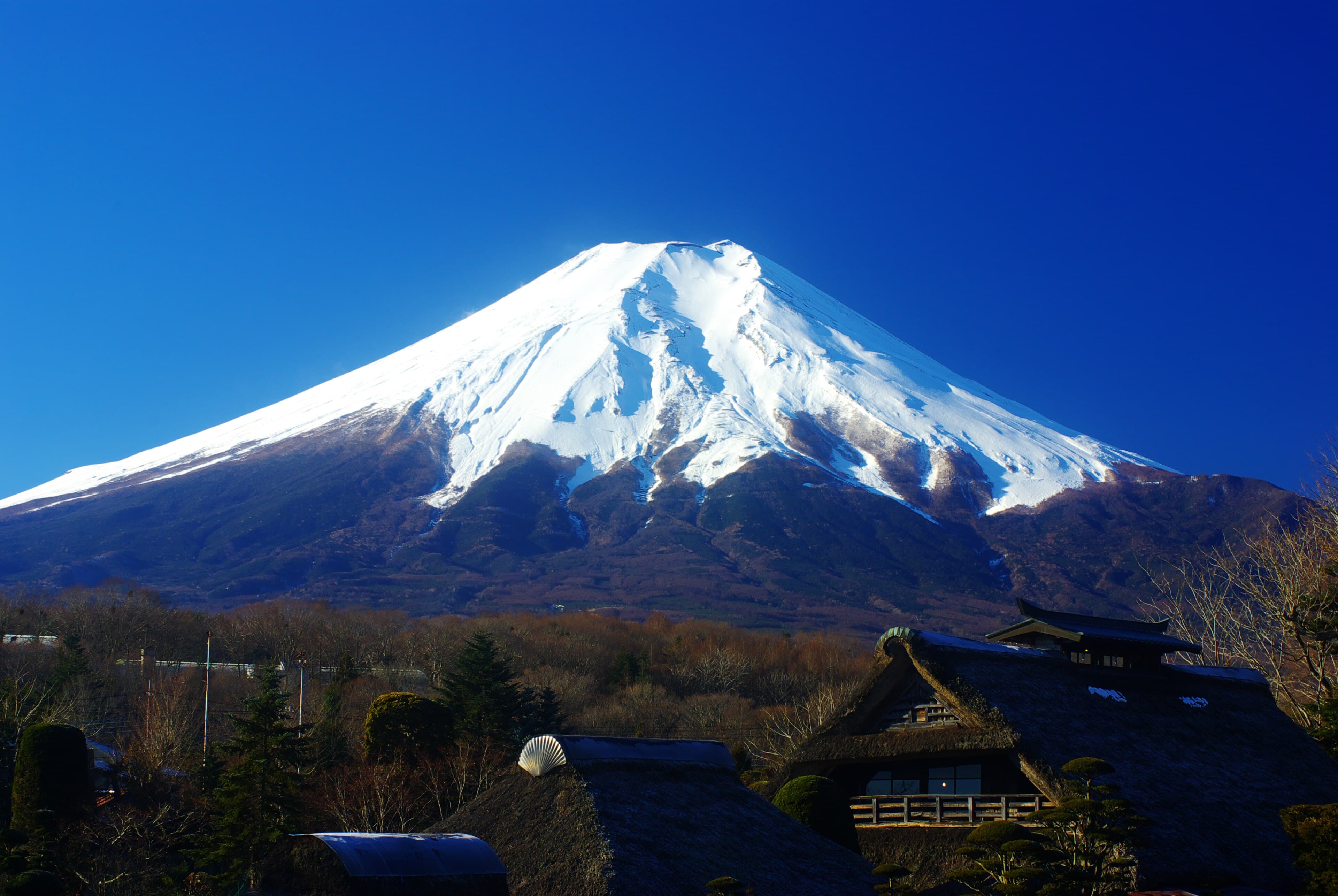 富士山忍野忍村新晋网红一日游